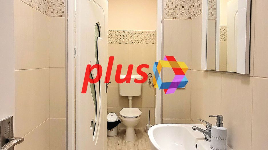 Spatiu comercial - 226 mp cu chirias randament atractiv - Poză 7