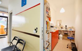 Spatiu Comercial Prelungirea Ghencea | Vizavi Dimri Residence - Poză 8