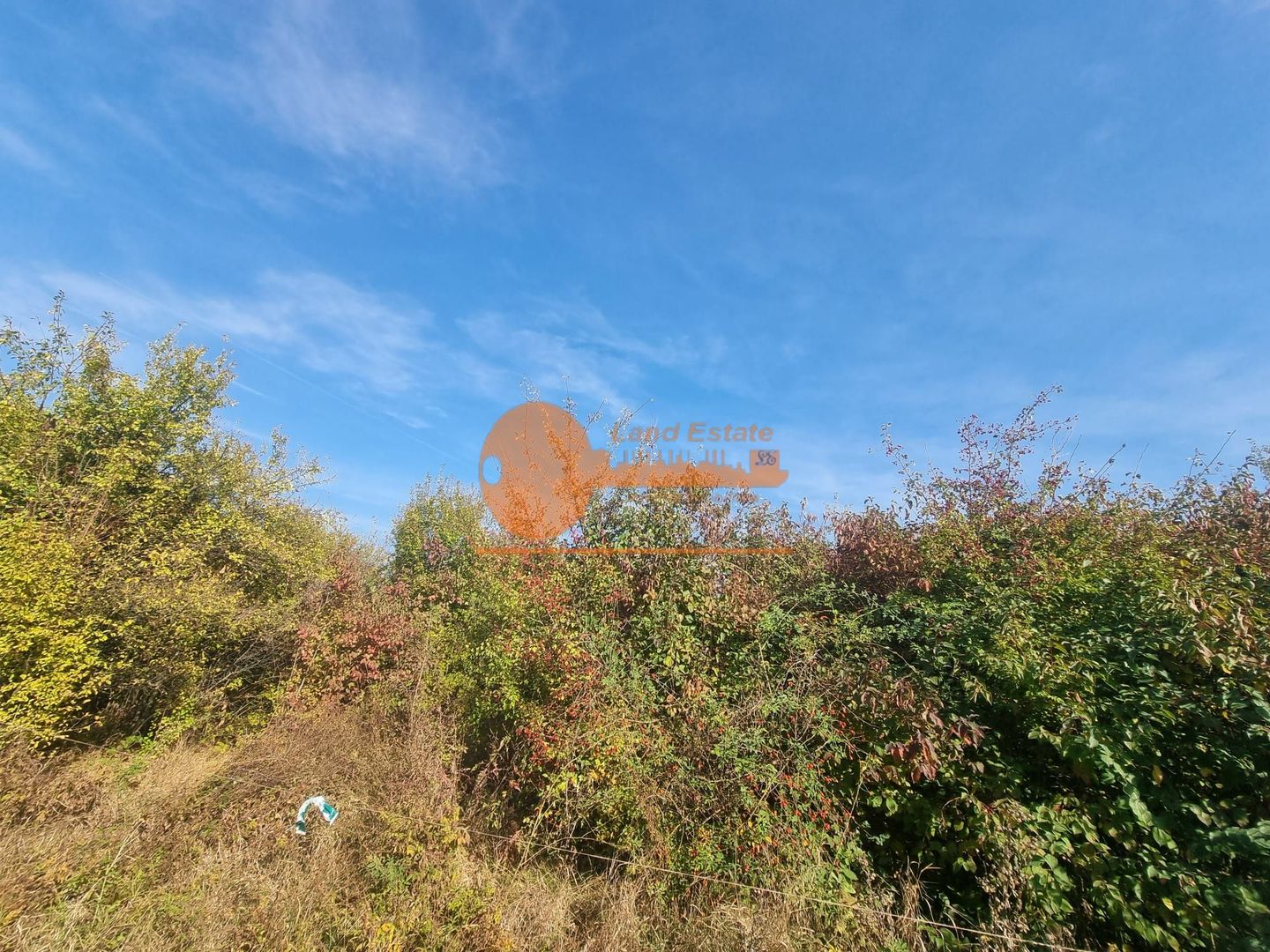 Teren de vanzare in zona Mogosoaia (Iesire la Lac) - Poză 5