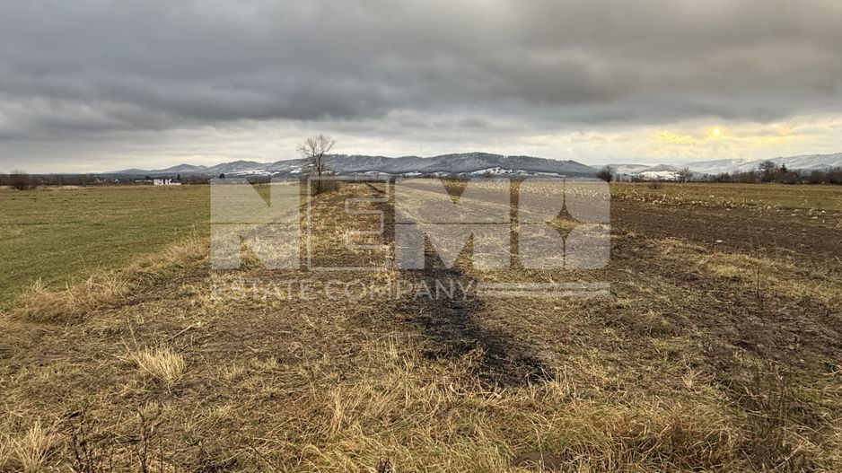 Teren 80 Ari | Vicovu de Sus – Bahna | Front 16.5 - Poză 1