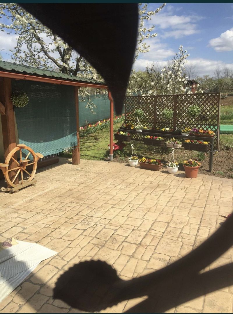 Casa la cheie 4 camere Carei gradina viilor - Poză 5
