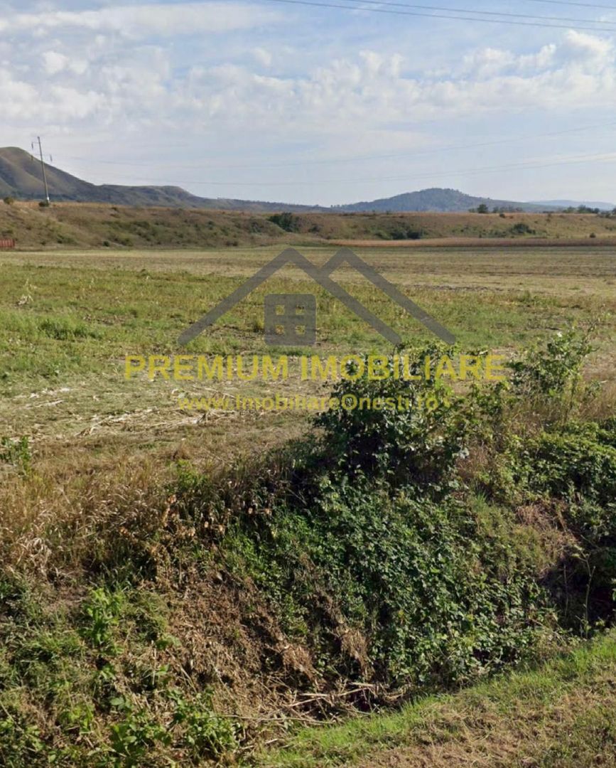 Teren 7.400 mp, deschidere 40 m la DN11, Târgu Trotuș - Poză 1