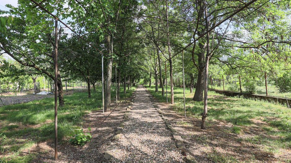 Vilă 5 camere Grădiște | 2 corpuri | 0% comision. Preț negociabil! - Poză 5