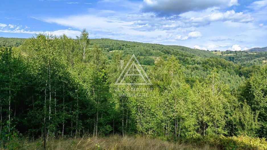 Casa,anexe si14.328 mp teren partial intravilan, com. Bulz, jud. Bihor - Poză 1