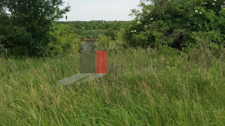 Teren Buftea cu iesire la lac - Poză 28