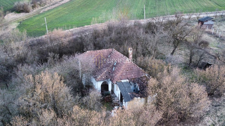 Teren agricol parțial intravilan | Ceuașu de Câmpie - Poză 3