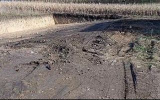 Teren 350 mp I Sura Mare I Autorizatie Casa Parter I Utilități - Poză 3