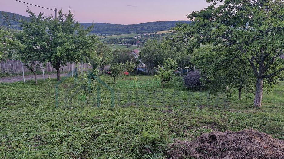 Teren intravilan de vanzare, Chicerea, 740 mp, strada Canarului, Tomesti - Poză 4