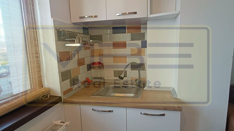 Garsoniera - 250 euro - Vișan ! - Poză 4