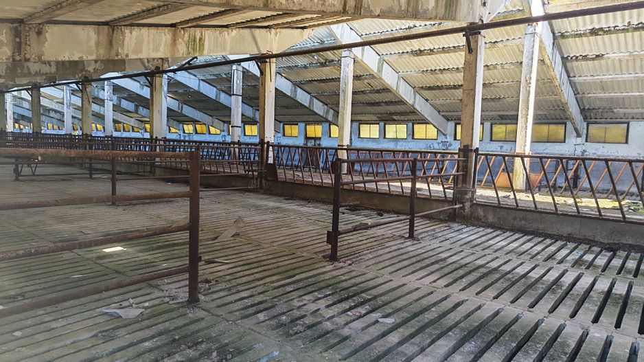 Spațiu industrial -fermă Orțișoara - Poză 6