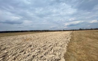 TEREN EXTRAVILAN | 23 ARI | HORODNIC DE SUS - Poză 1