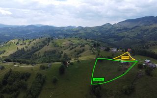 Teren Moieciu zona Pestera | Utilitati | 4.807 mp - Poză 1