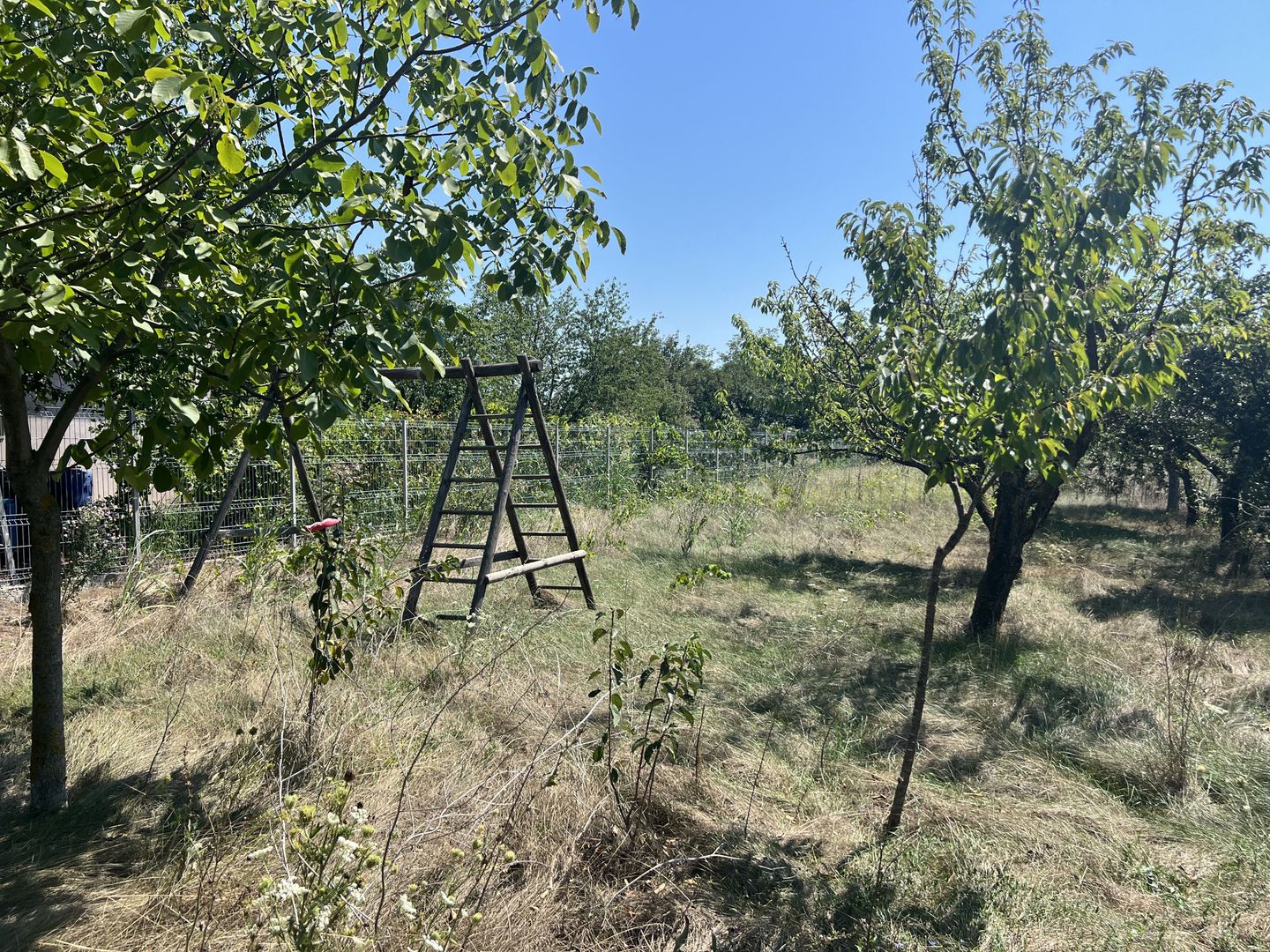 Vila superba cu teren Crevedia - Darza - Poză 14