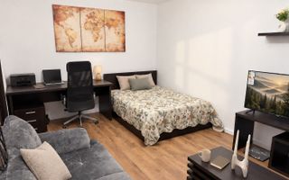 GARSONIERA- OBOR, PET-FRIENDLY, REABILITAT, MASINA DE SPALAT VASE - Poză 3