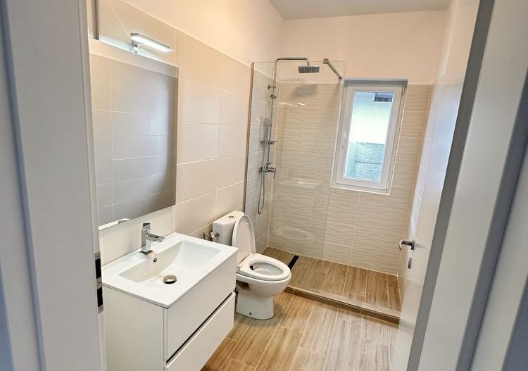 Casa de inchiriat |  4 camere | Tunari - Poză 4