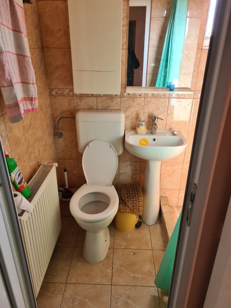 Inchirieri case/vile - Poză 6