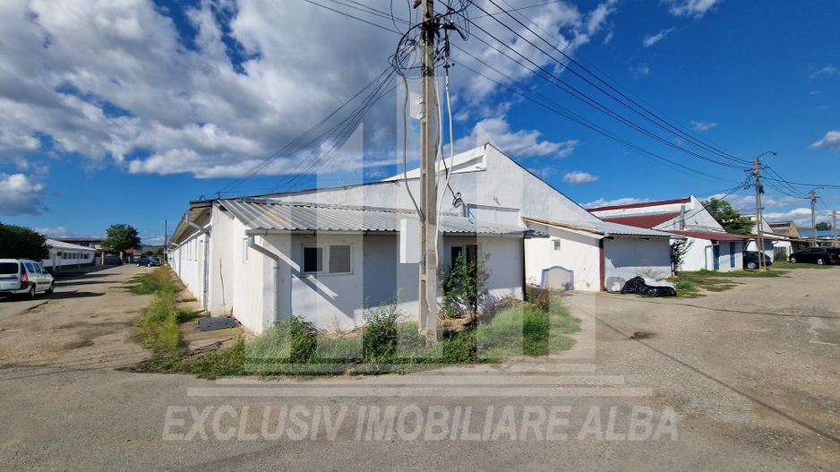 Spatiu industrial de inchiriat in Sebes - Poză 10