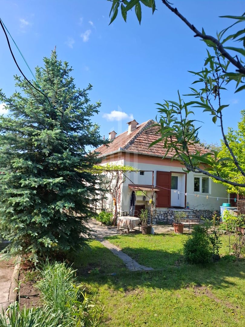 Casă cu două corpuri de clădire și teren generos – sat Boarta, județul Sibiu - Poză 13