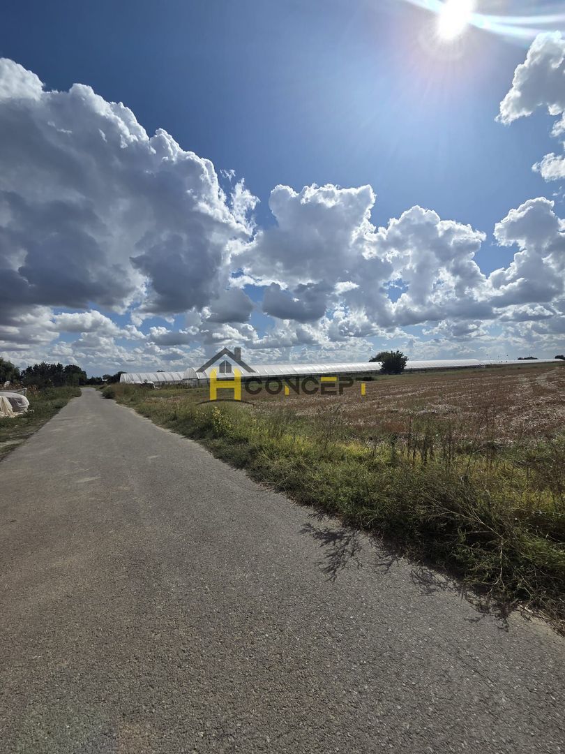 Teren 7500 mp Campurelu Colibasi strada asfaltata langa padure - Poză 4