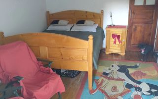 Casă la munte în zonă liniștită - Poză 2