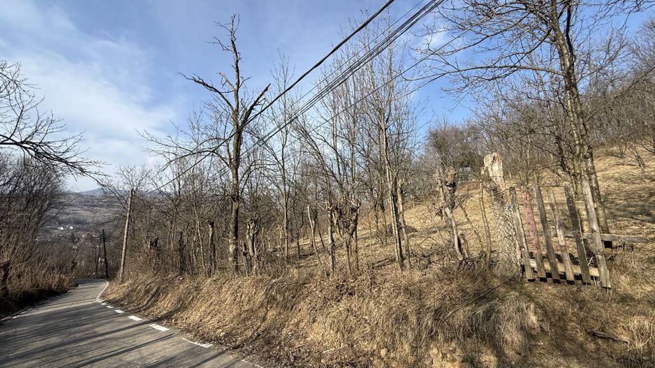 Teren intravilan 2788 mp deschidere 55 ml cu vedere panoramica ! - Poză 22