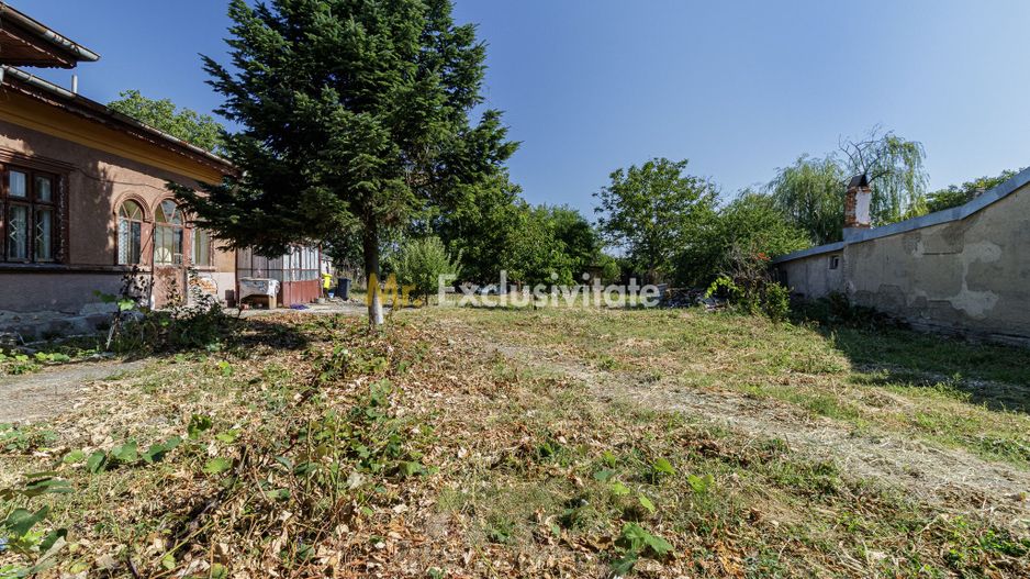teren 3889 mp Domnesti Primarie - Poză 3