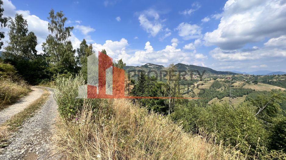 Teren de vânzare langa  Peștera Liliecilor  in Sat Pestera - Poză 23