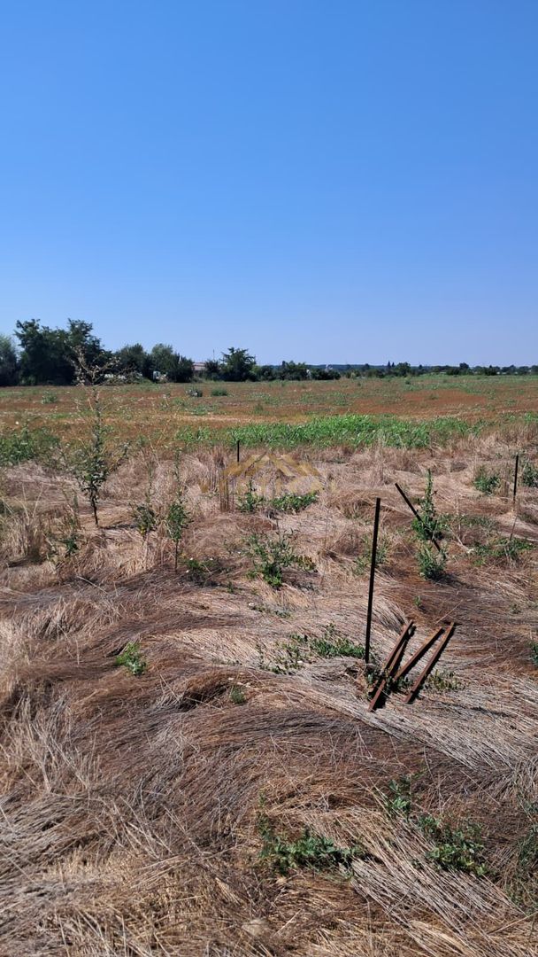 Teren Intravilan 500 mp de Vânzare – Vidra - Poză 3