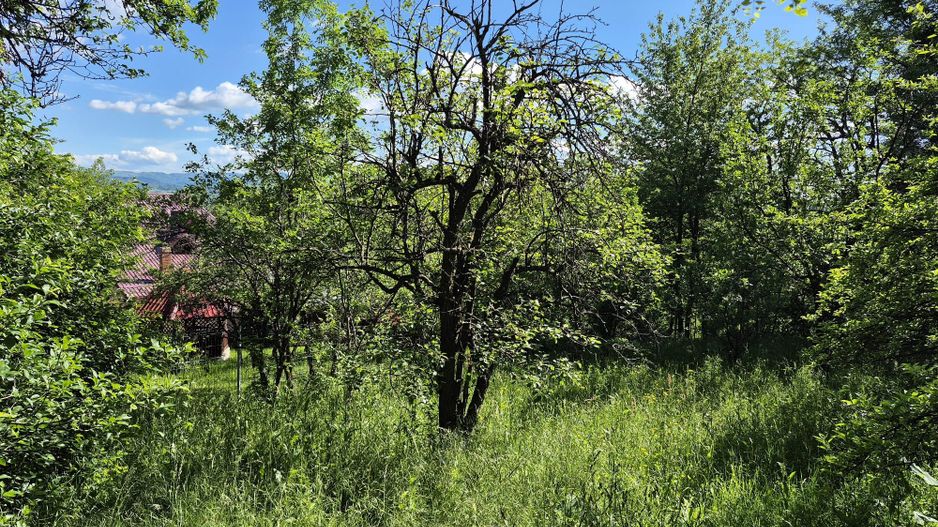 Teren intravilan 1290 mp Plaiu-Provita de Sus - Poză 13