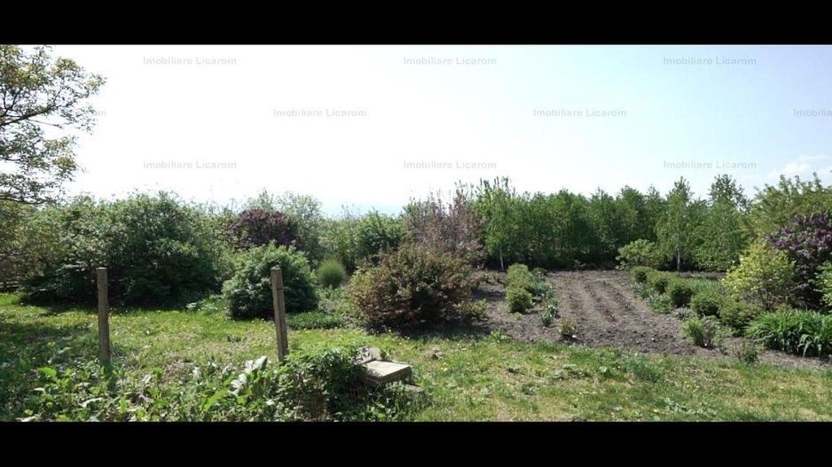 Oferta Conac boieresc P+M,teren 20400 mp - Poză 2