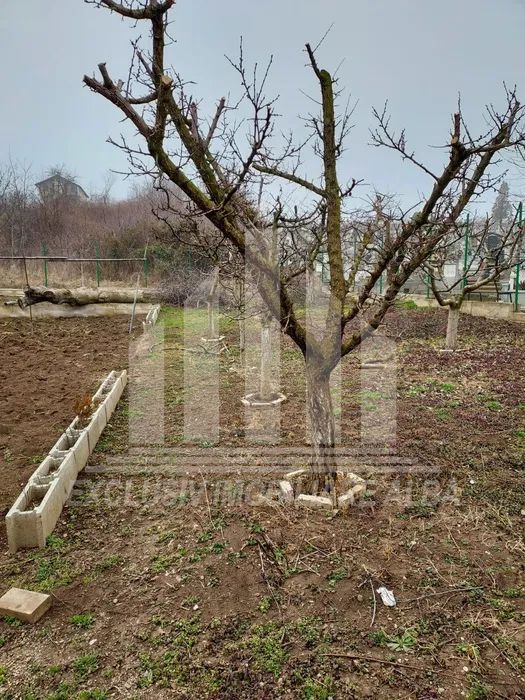 Casa individuala de vanzare cu teren - Poză 3