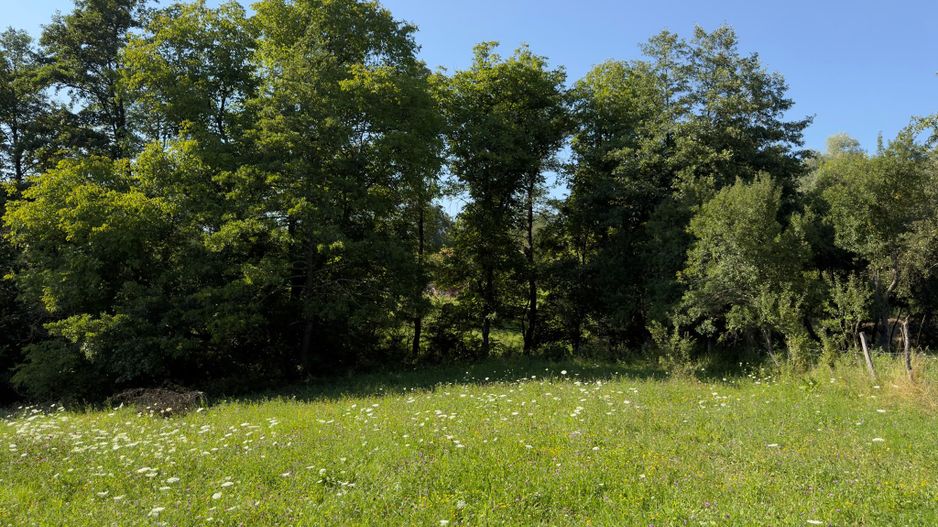 Teren Parau | Valea Danului, Curtea de Arges | Vidraru | - Poză 6