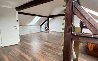 NECTORA IMOB-Spatiu comercial P+M, Ultracentral, Zona Piața Ferdinand - Poză 4