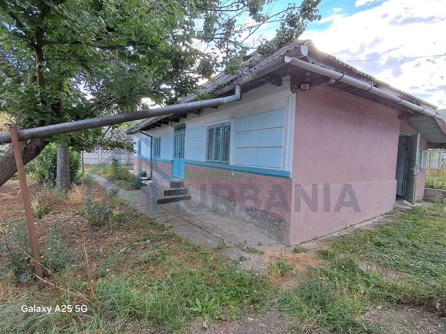 Domeniu de 7.500 mp cu casă bătrânească, anexe, livadă și iaz în Stolniceni-Prăjescu, Iași - Poză 1