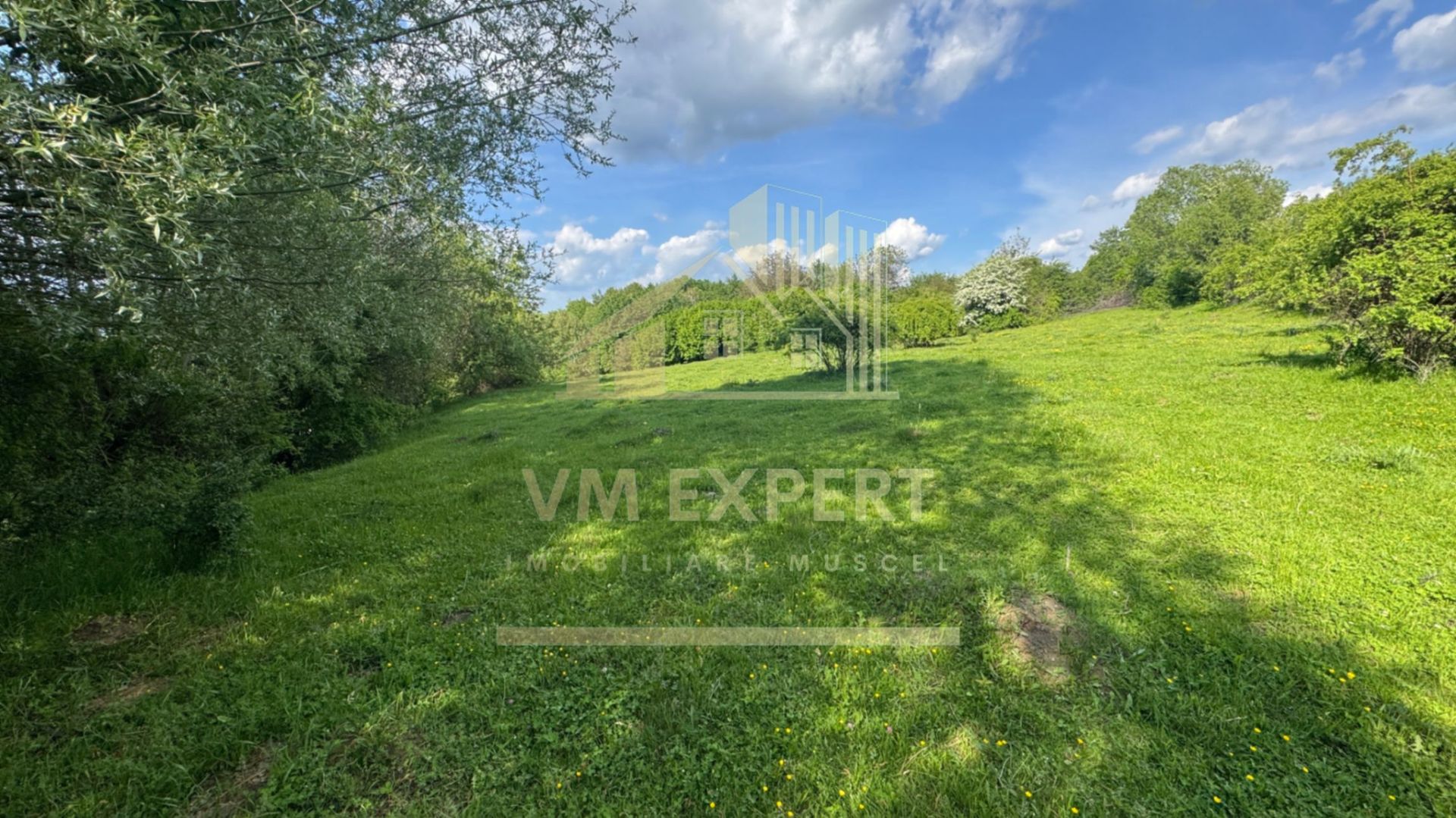 TEREN INTRAVILAN 2943 MP CAMPULUNG - Poză 11