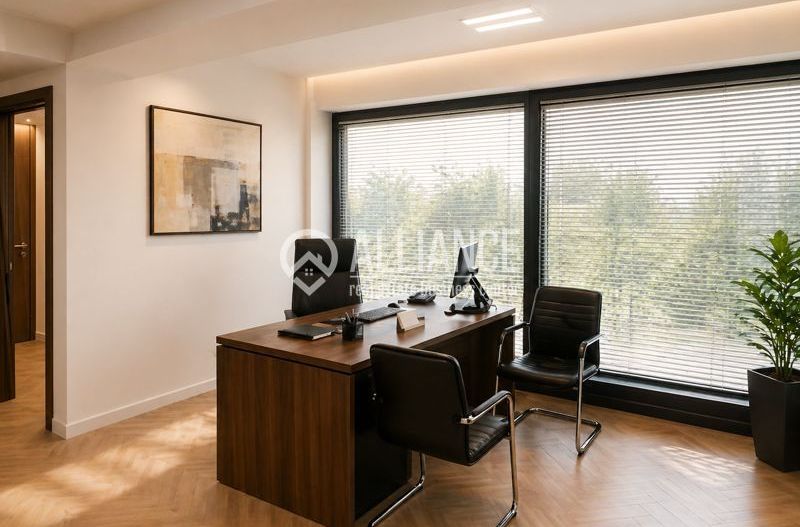 TOMIS NORD (COD 10) - Birou penthouse de inchiriat - Poză 2