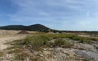 Teren extravilan de vanzare - Viisoara. Parcelabil - Poză 2