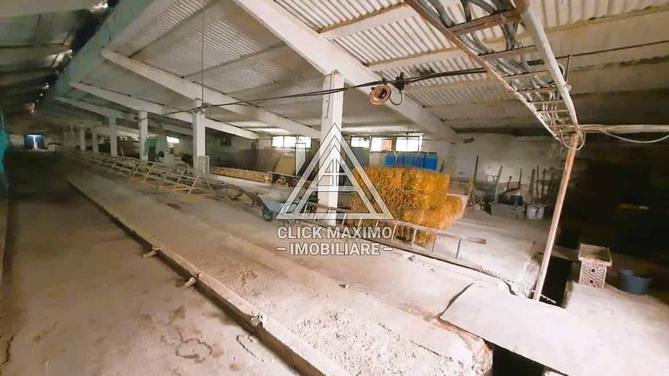 770 mp HALA TIP AVICOLA si 1390 mp TEREN INTRAVILAN, BECLEAN-BISTRITA - Poză 3