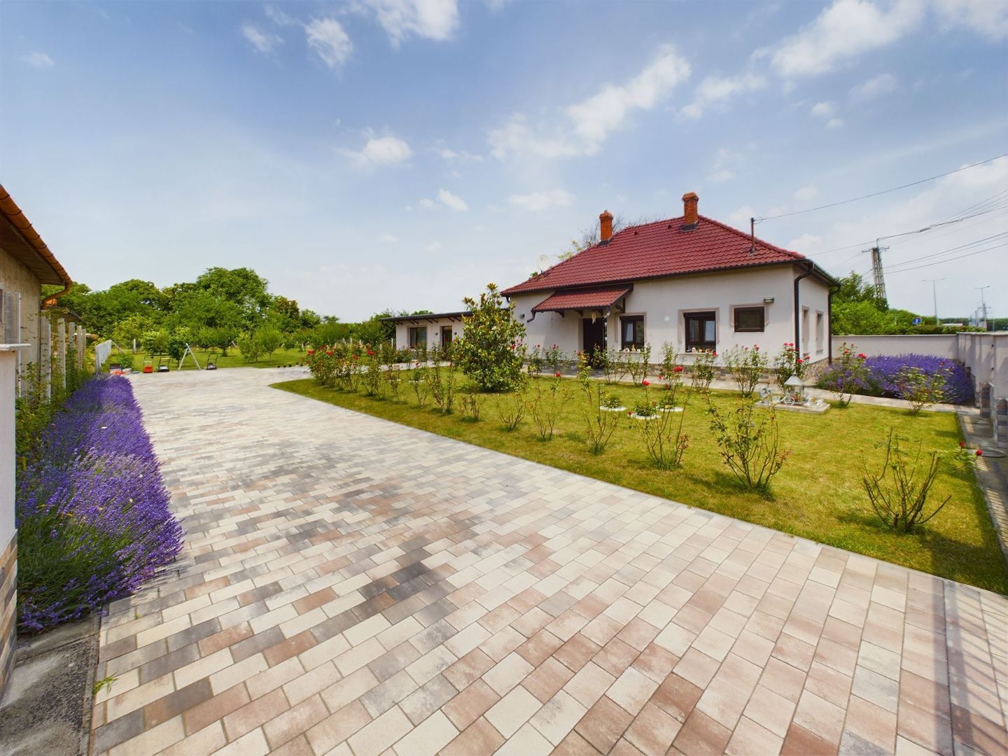 Afacere la cheie în Mezőhegyes-Ungaria - Poză 2