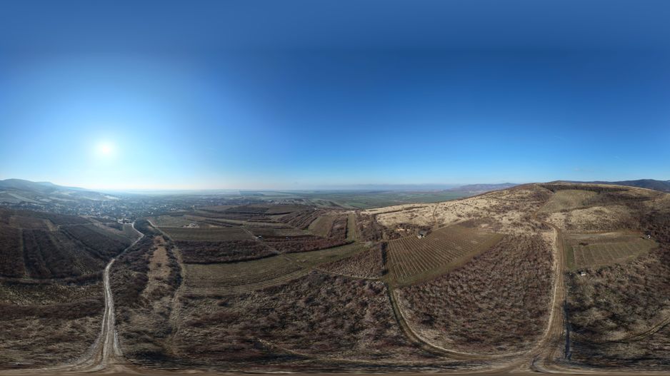 Vita-de-vie Premium  teren de 6800 mp în Covăsinț - Poză 5