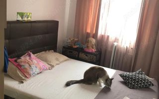 3 camere modificat in 2 camere Sagului - Poză 5
