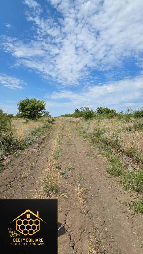 Terenuri extravilane de vanzare in Meteu – 4 loturi individuale - Poză 3