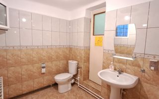 TINERETULUI (metrou) - DIMITRIE CANTEMIR, casa 2 camere, curte proprie - Poză 8