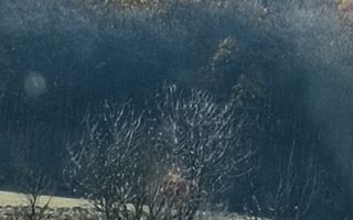 Teren langa Padure Dragomirna 40 Ari ISuceava/Dragomirna I 65.000Euro - Poză 3