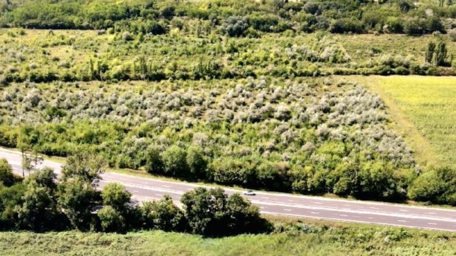 Teren de vânzare la traseul Chișinău-Ungheni - Poză 1