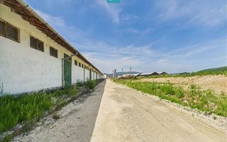 Hale 1800 mp fiecare – acces autostradă, Teiu, HD - Poză 22