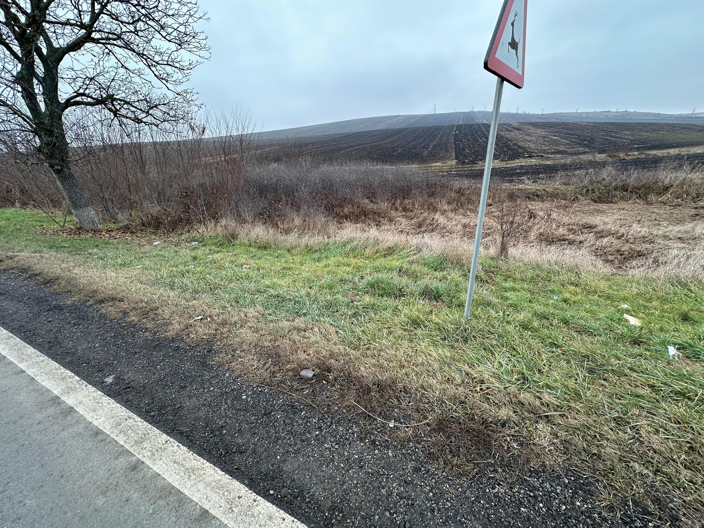 Teren 13.780 mp, Apahida, Cluj - Ideal pentru Investiție - Poză 8
