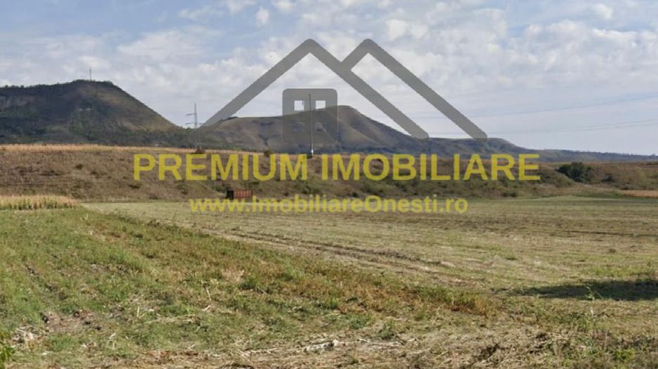 Teren 7.400 mp, deschidere 40 m la DN11, Târgu Trotuș - Poză 3