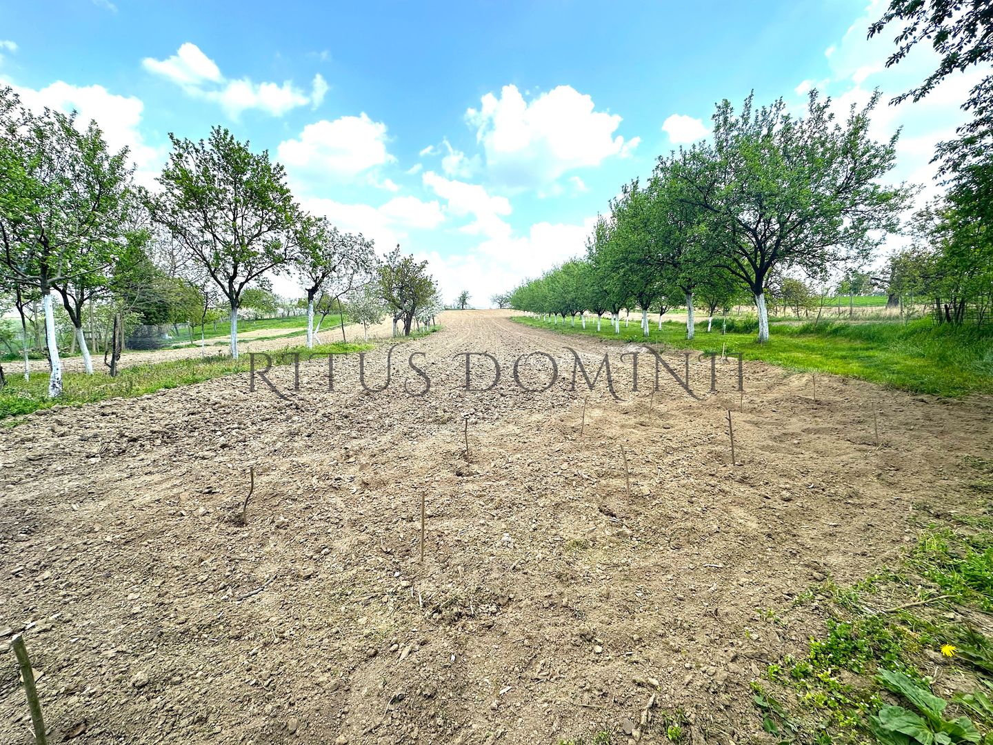 Teren Intravilan de Vânzare, Cetariu, 5450mp - Poză 1