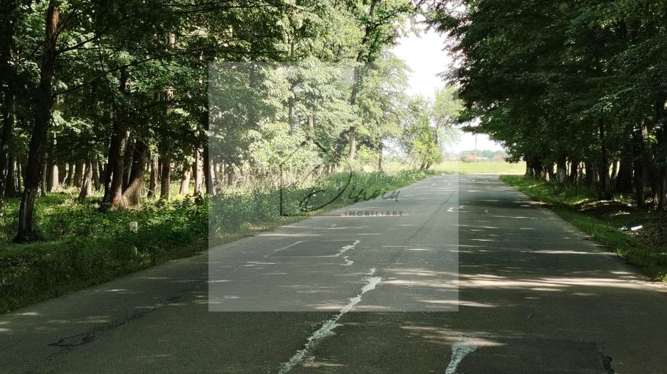 Casa Ciocanesti Cretu - 2 camere cu teren 2539 mp  - Jud. Dambovita - Poză 51